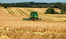 Demand for grasses and clovers continues to increase across Europe and around the globe
